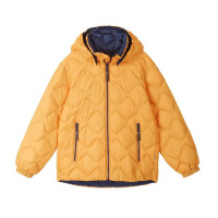Демисезонная куртка для мальчика Reima Fossila 5100058A-2450